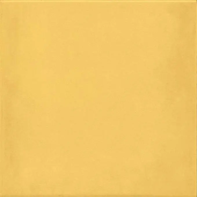 1900 Amarillo 20x20